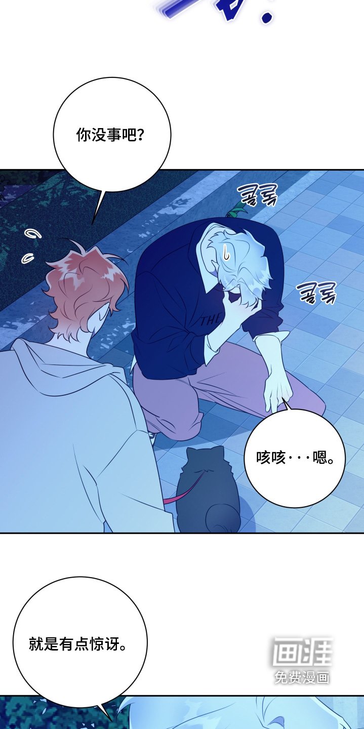 第69章：【第二季】交往吧