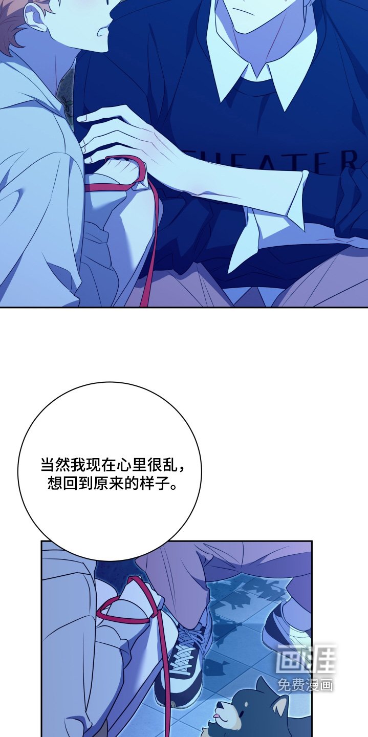 第69章：【第二季】交往吧