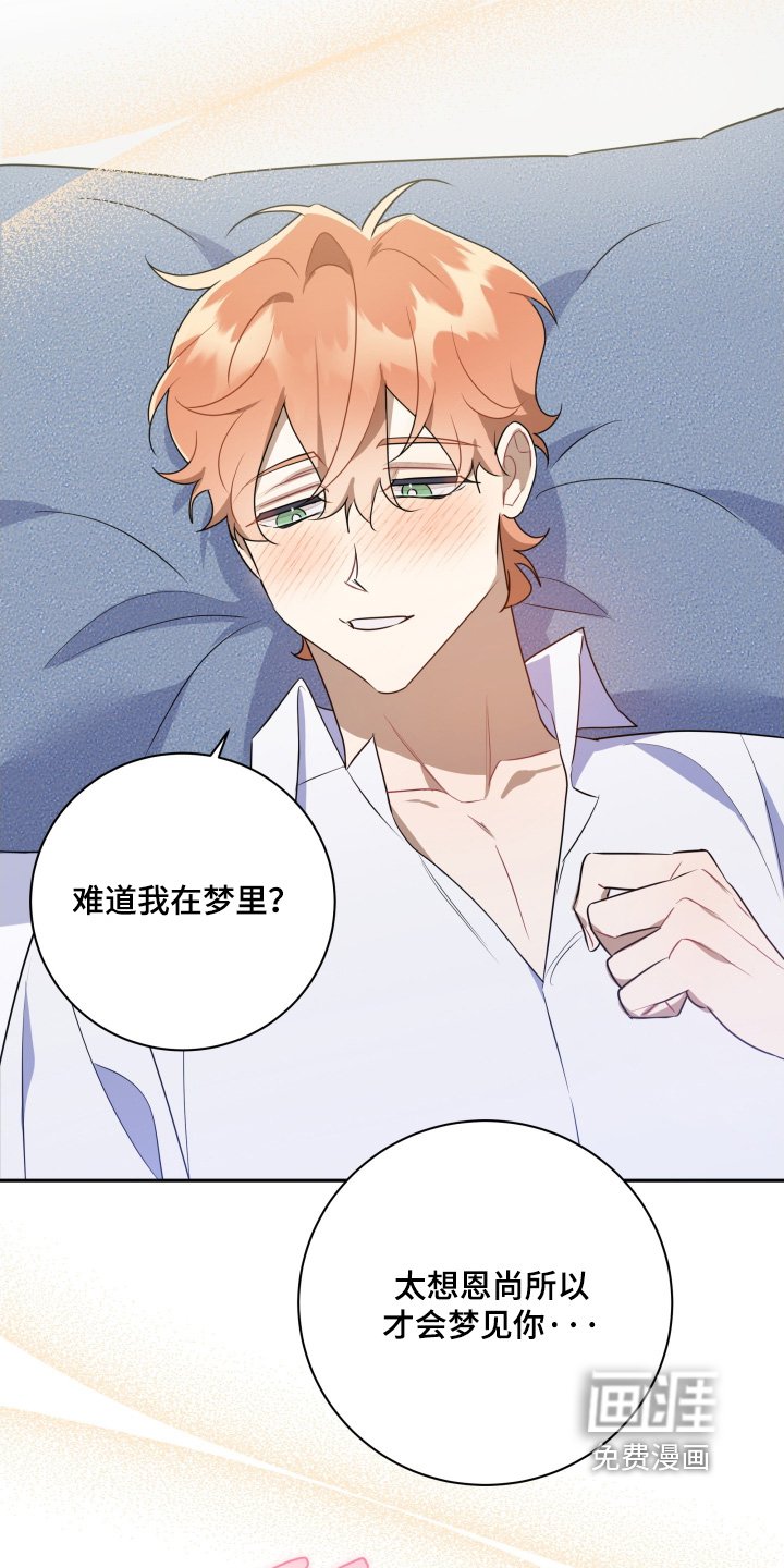 第87章：【第二季】不是梦