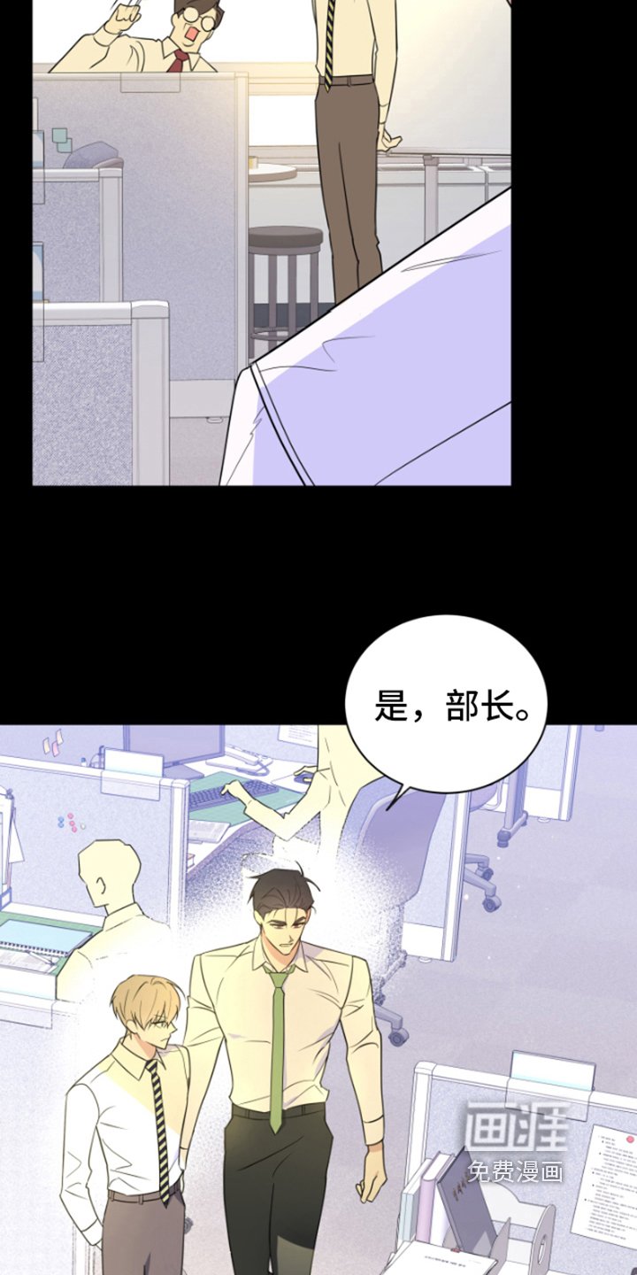 第9章：看不透