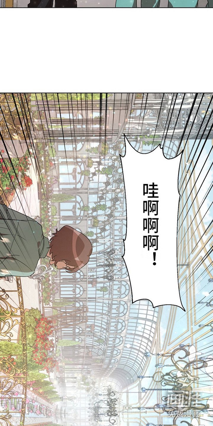 第13章：园艺劳动