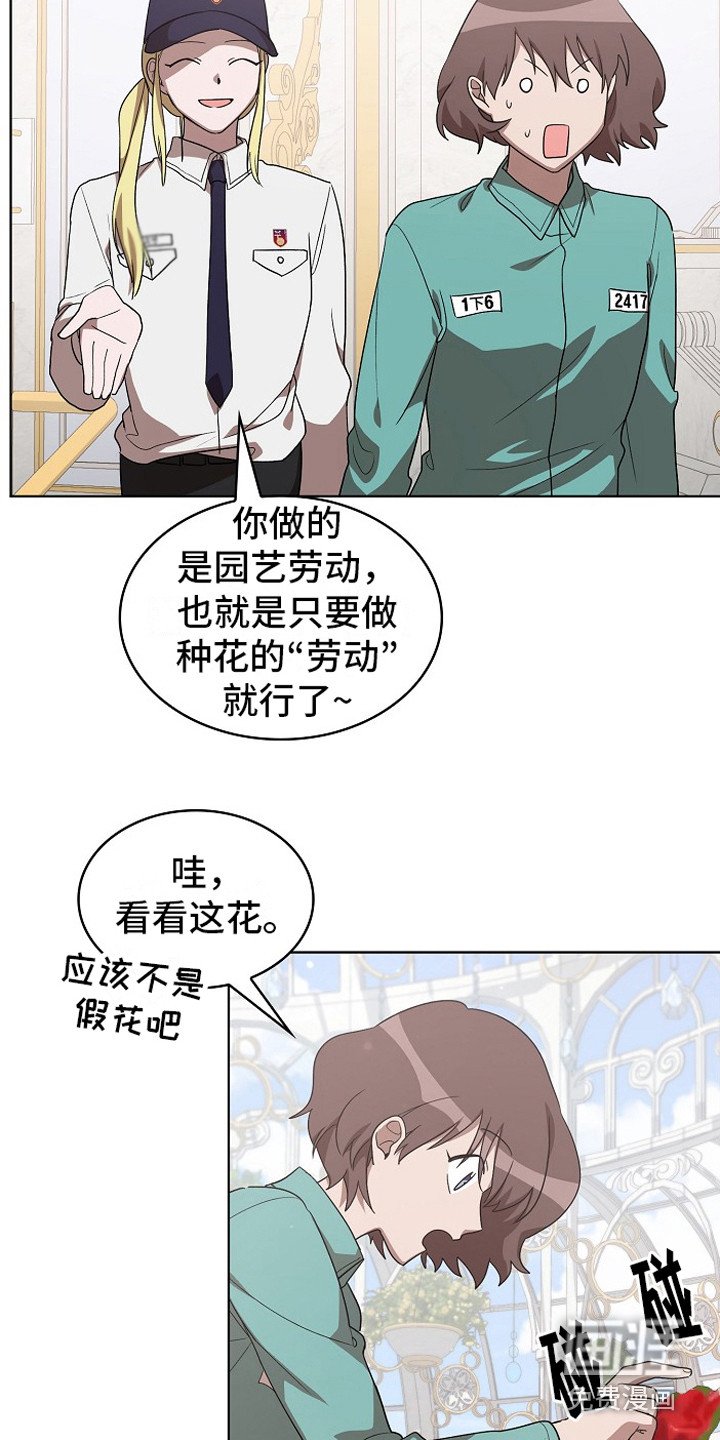 第13章：园艺劳动