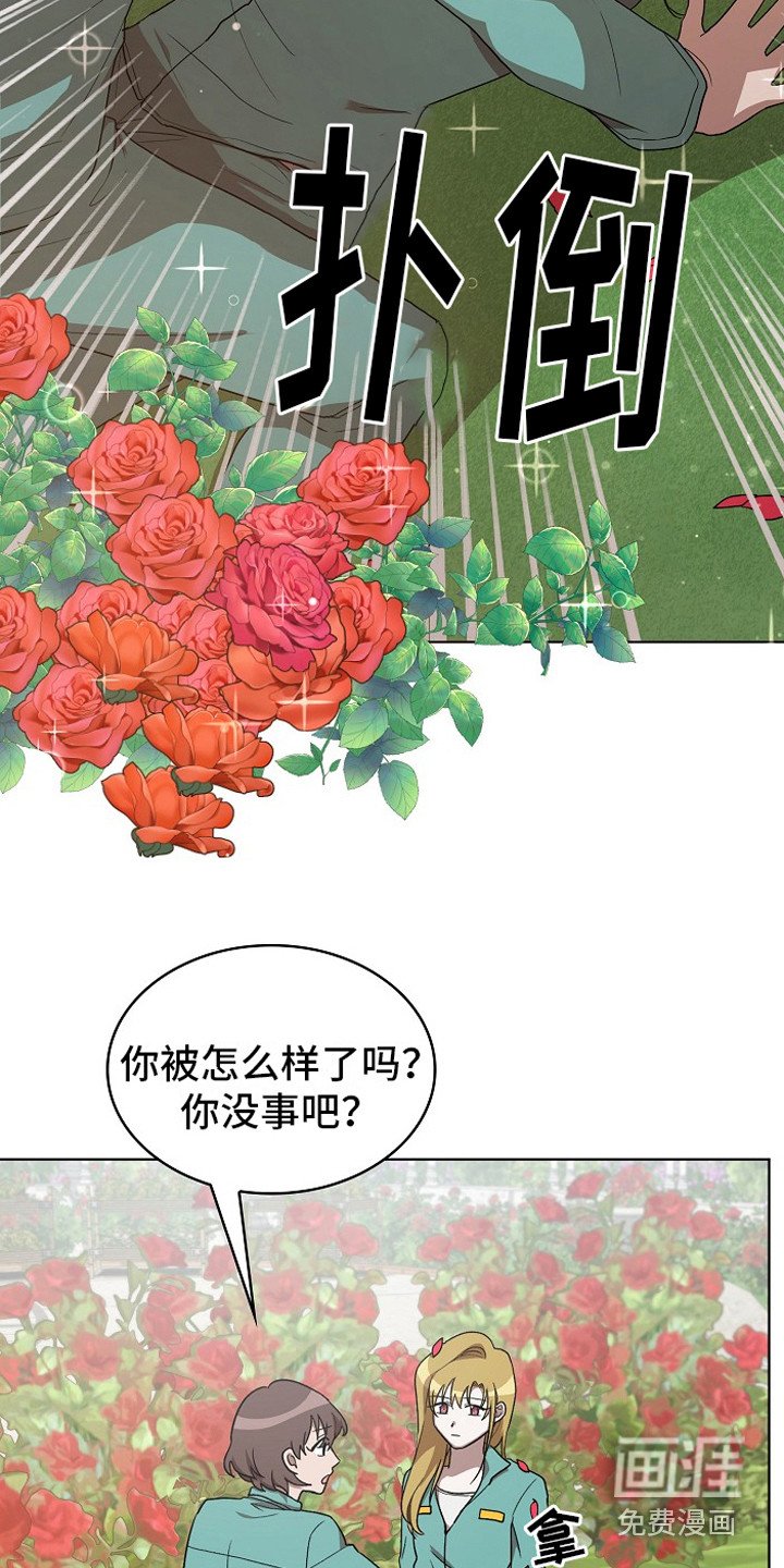 第13章：园艺劳动