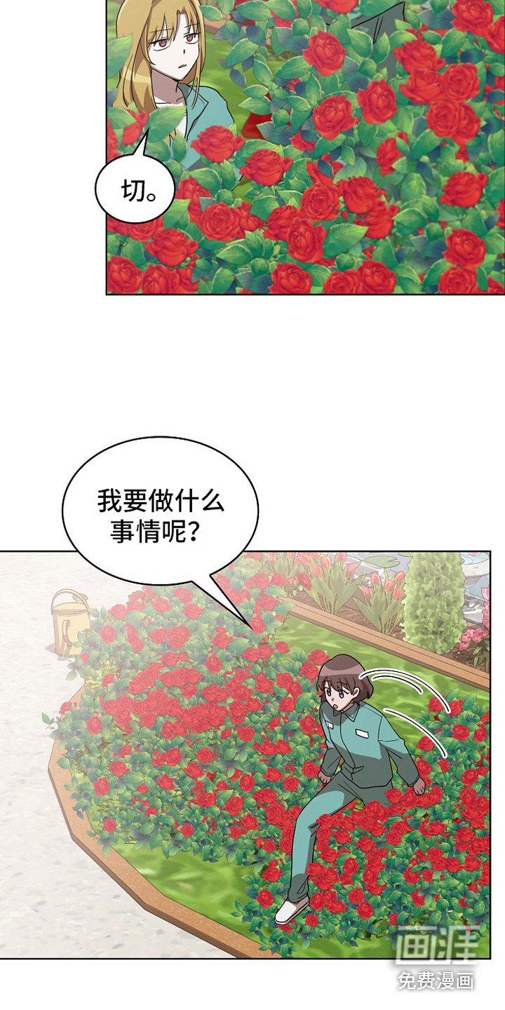 第13章：园艺劳动