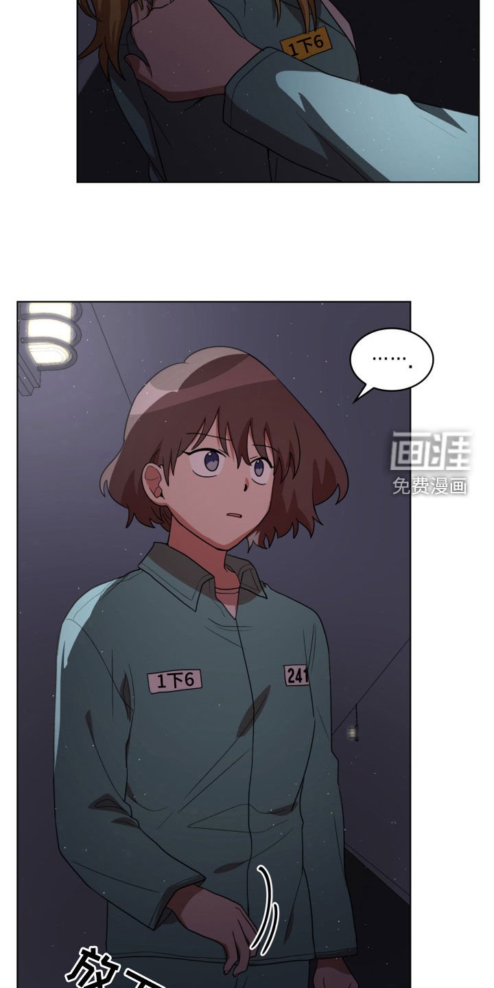 第19章：收集材料