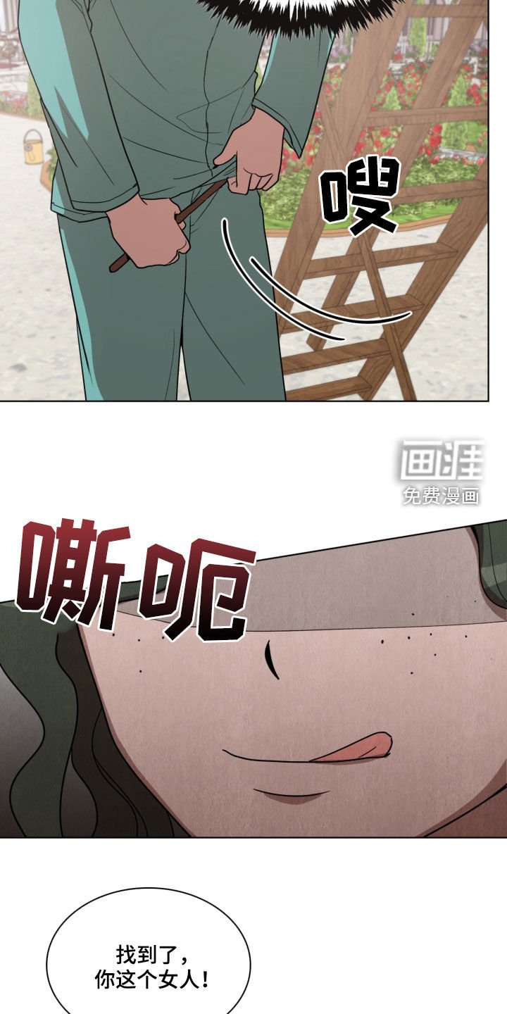 第19章：收集材料