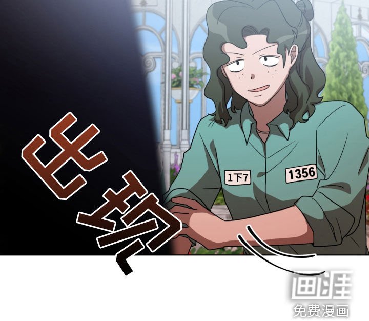 第19章：收集材料