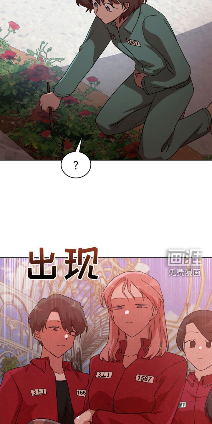 第19章：收集材料