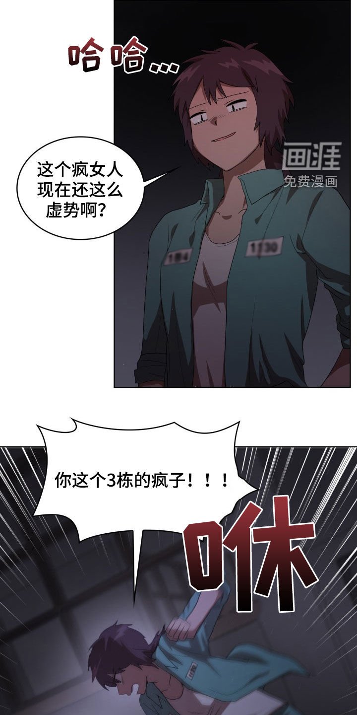 第29章：疯子
