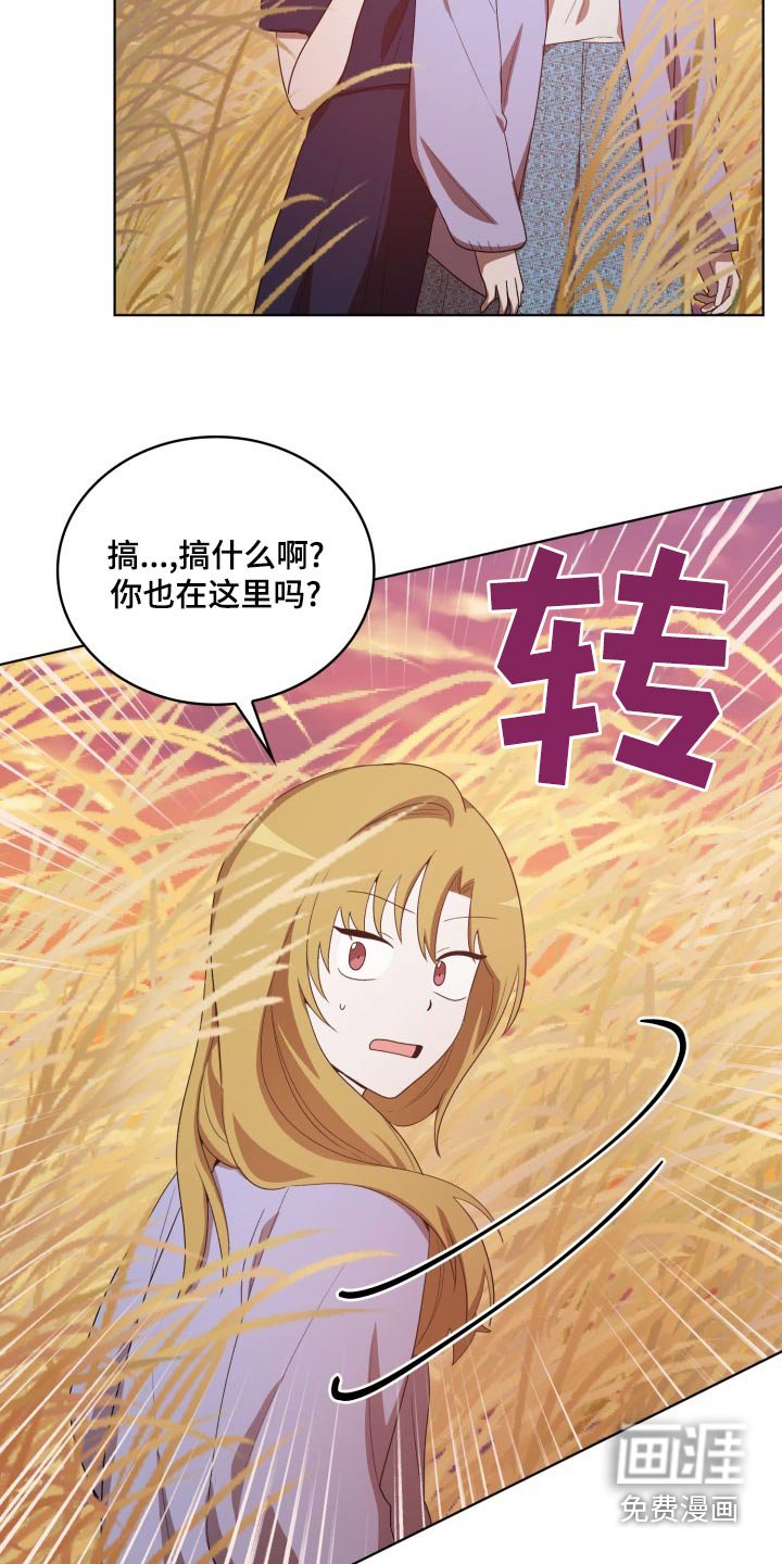 第41章：怎么回事