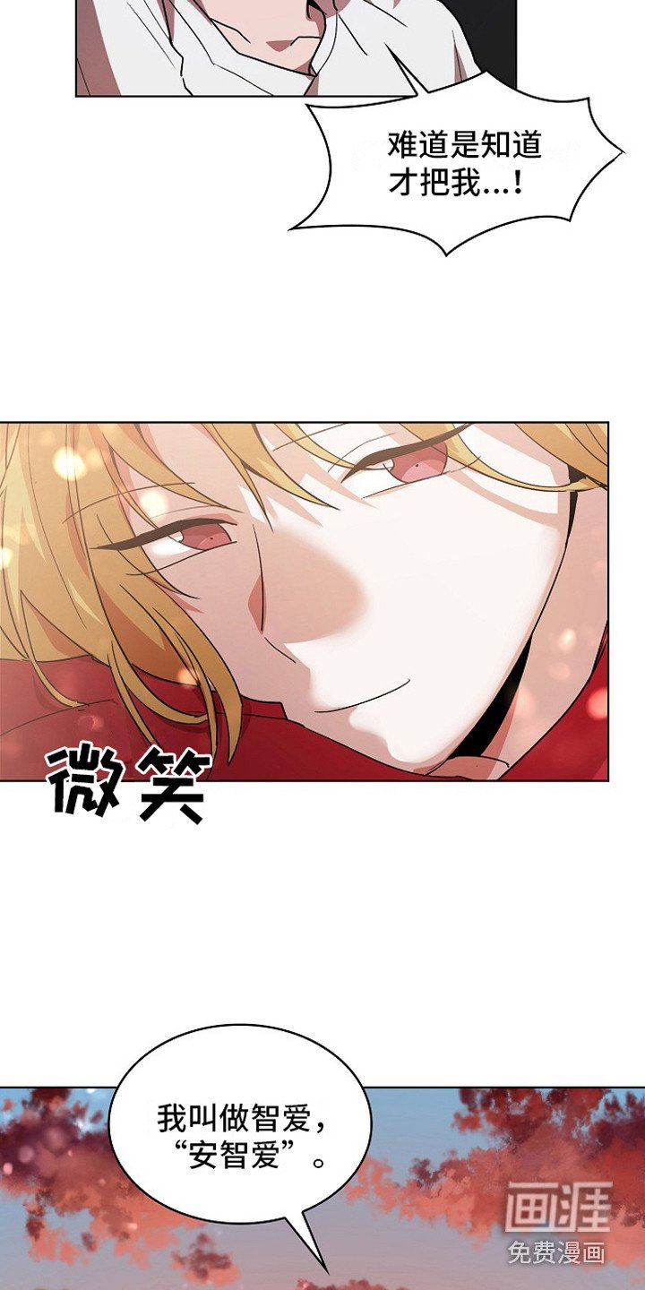 第6章：墙的那头
