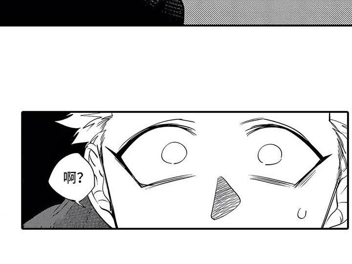 第15章：解散组织