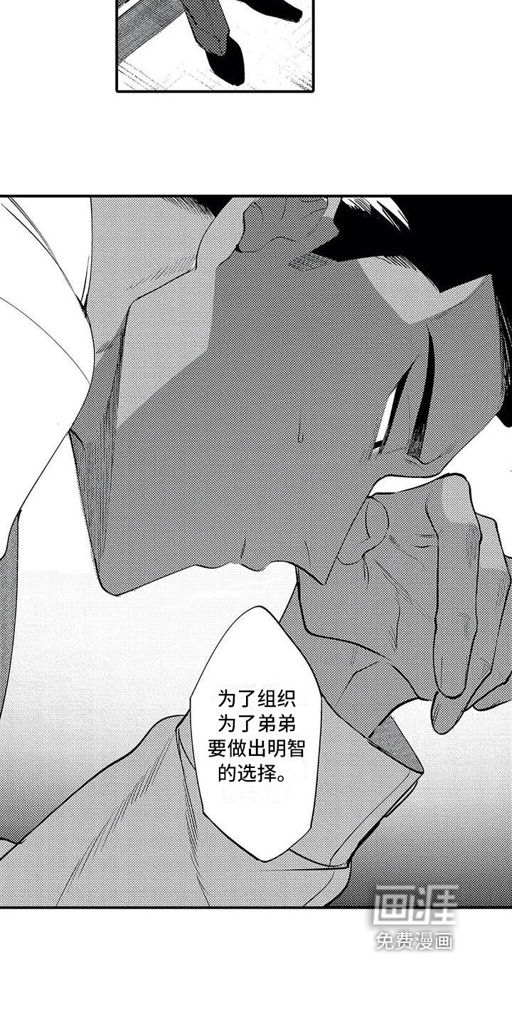 第17章：原因