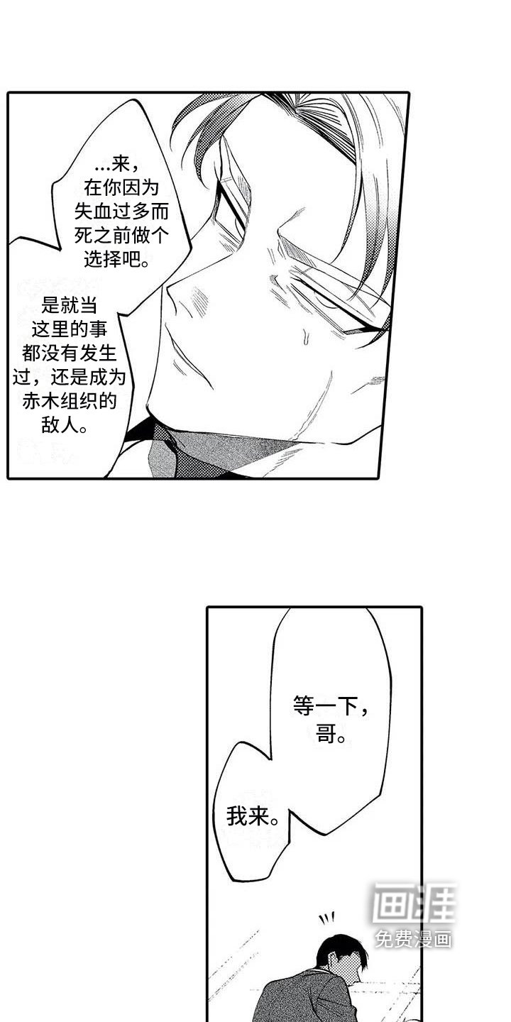 第23章：胜利