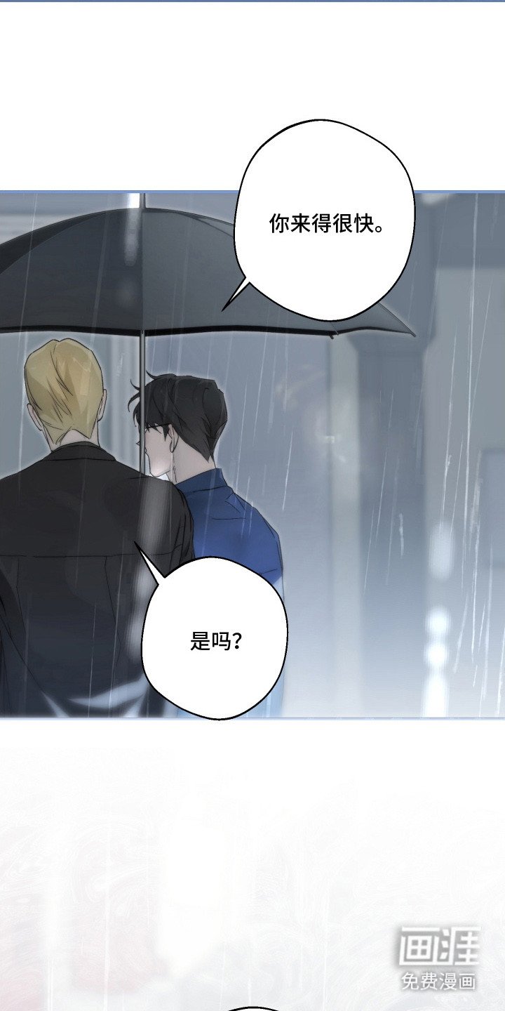 第10章：怀疑