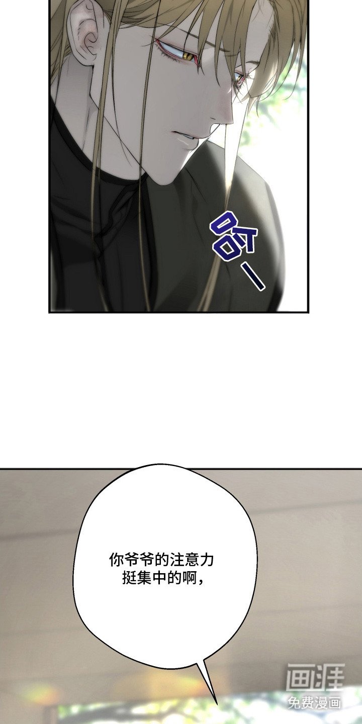 第12章：抚慰孤独
