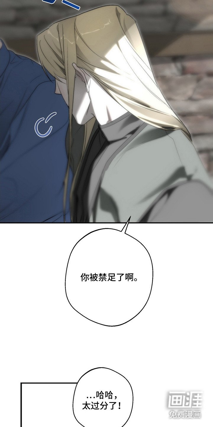 第12章：抚慰孤独