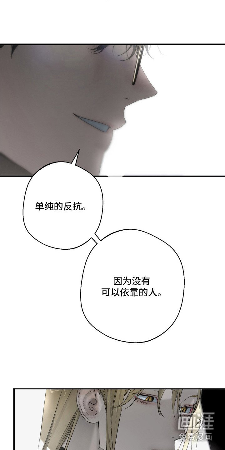 第12章：抚慰孤独