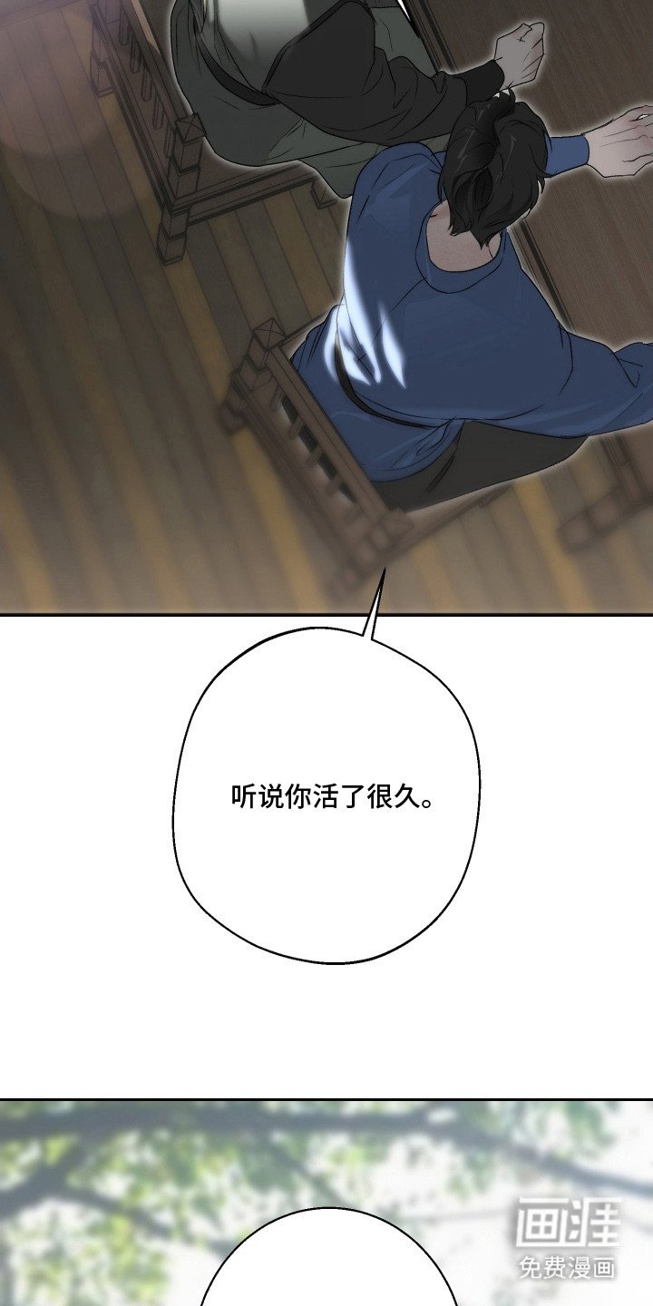 第12章：抚慰孤独