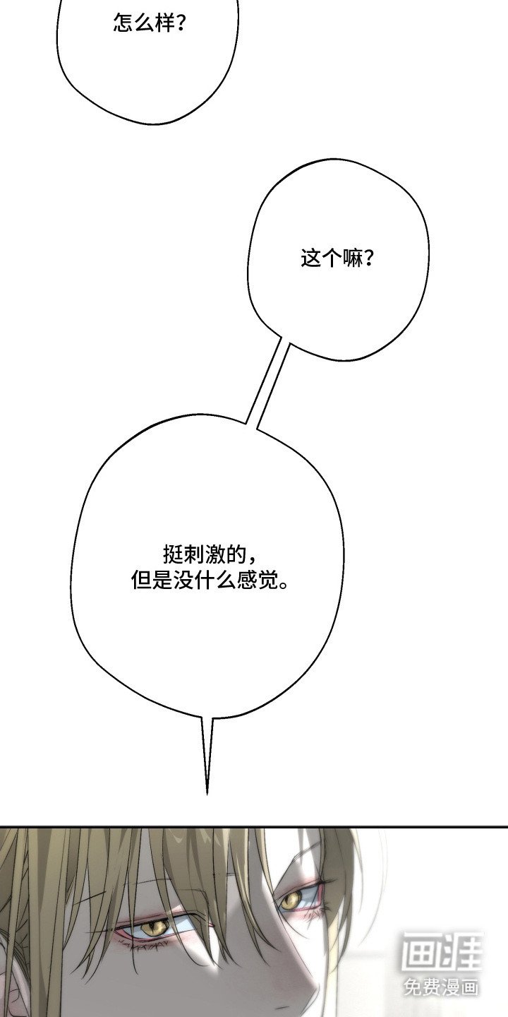 第13章：很特别
