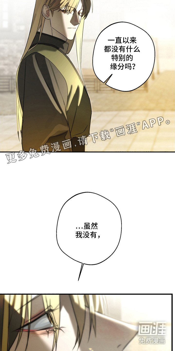 第13章：很特别