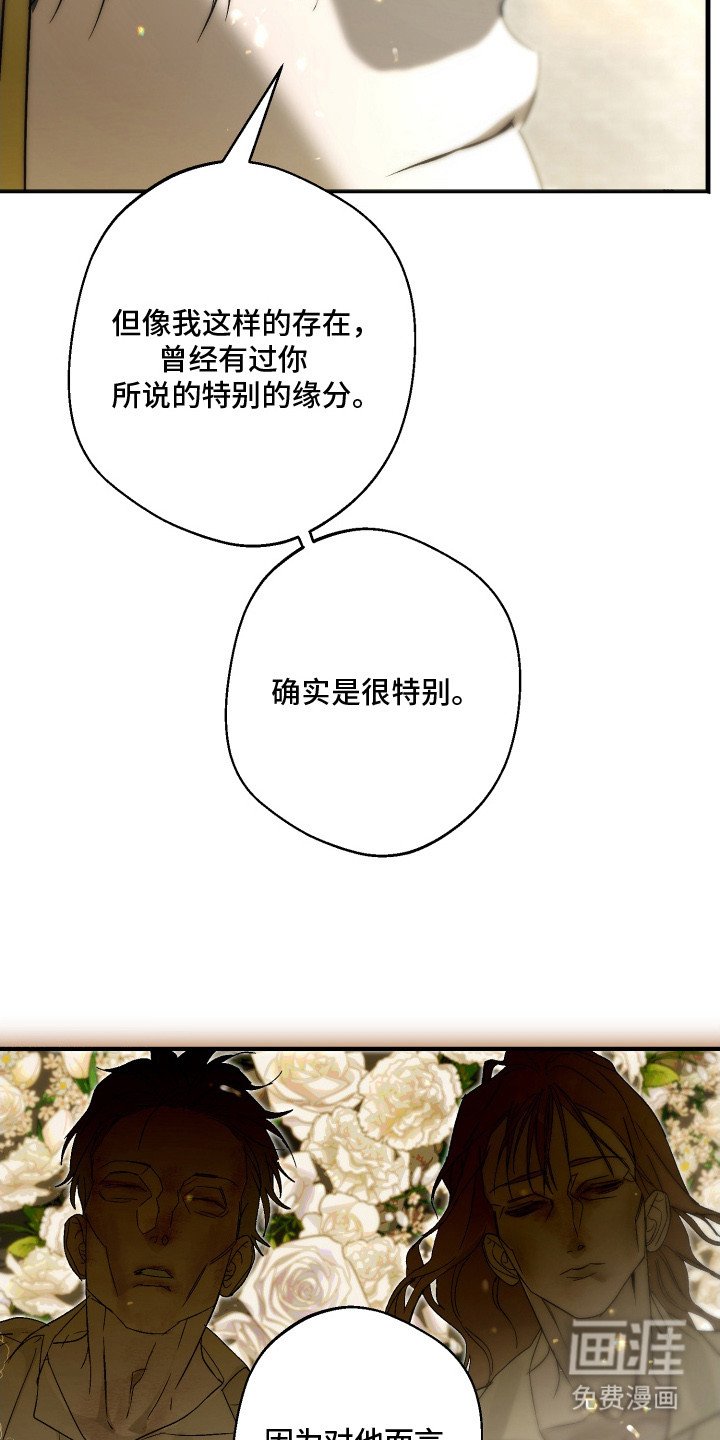 第13章：很特别