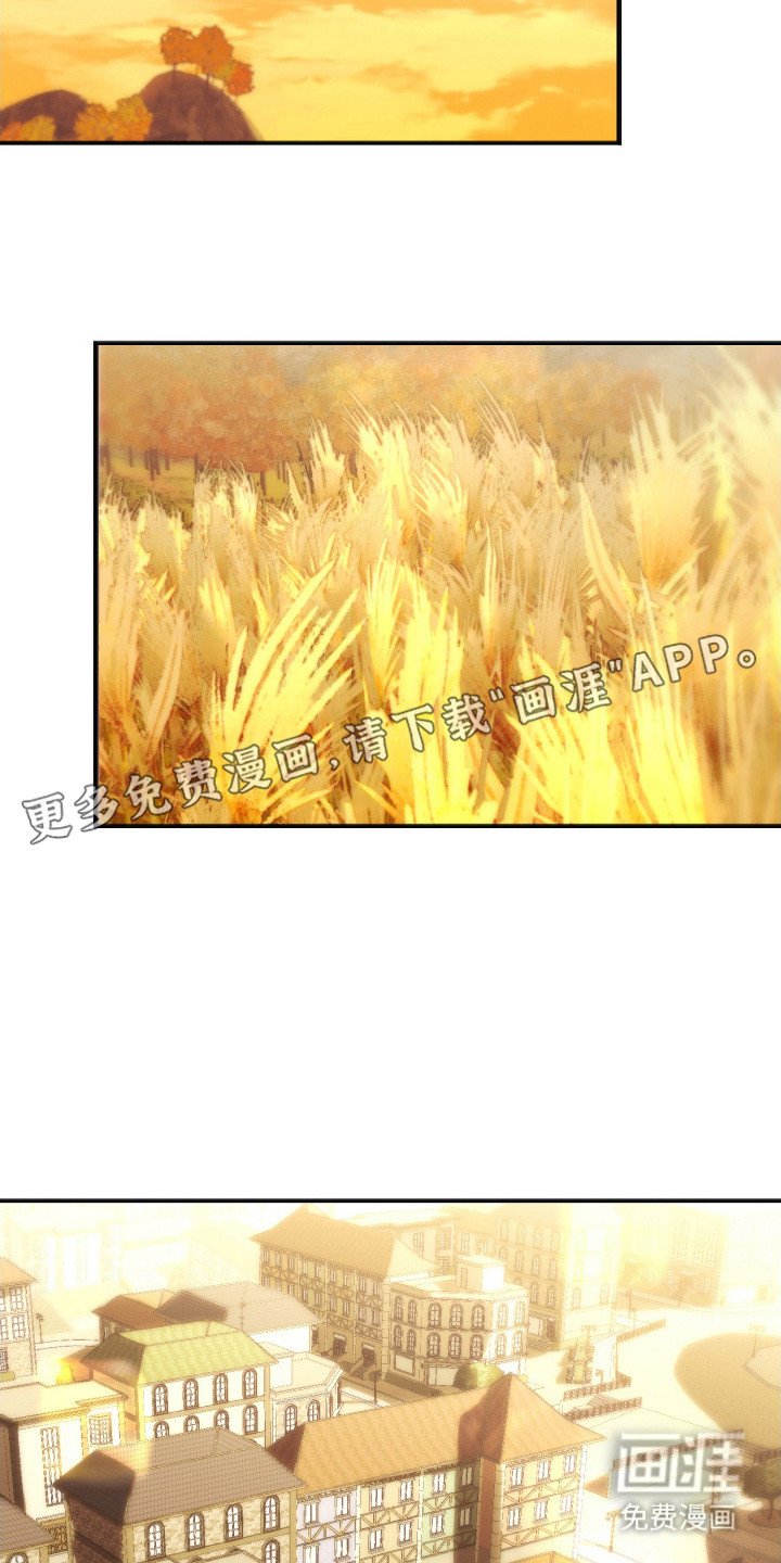 第14章：忍不住关注