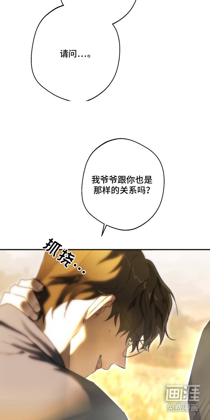 第14章：忍不住关注