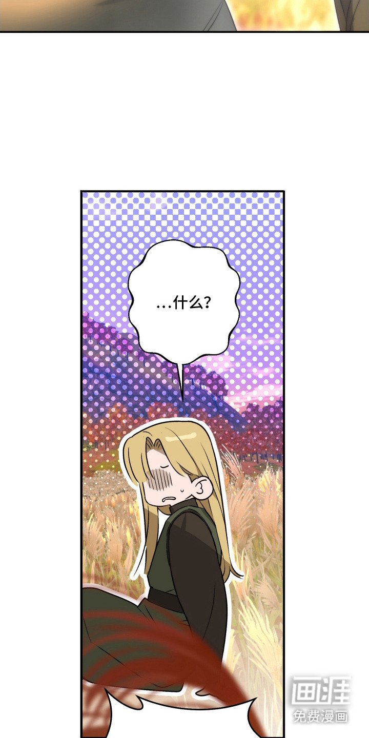 第14章：忍不住关注