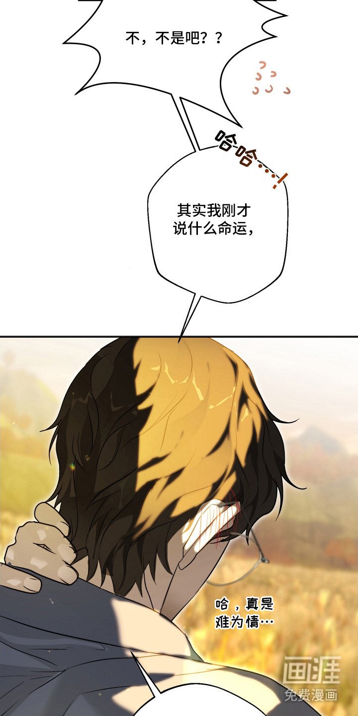 第14章：忍不住关注