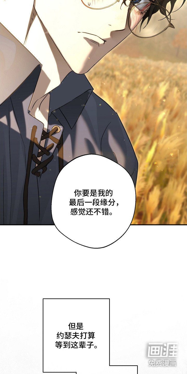 第14章：忍不住关注