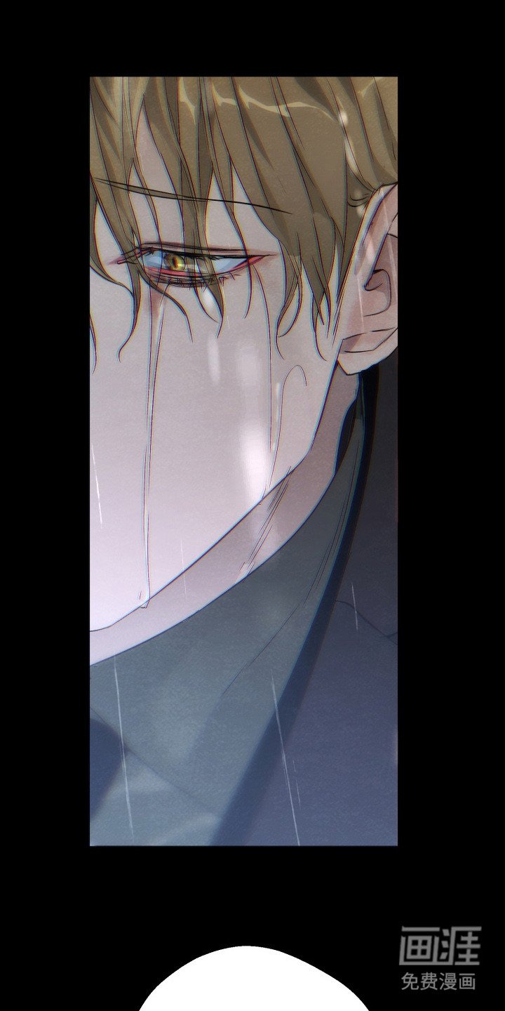 第19章：道歉