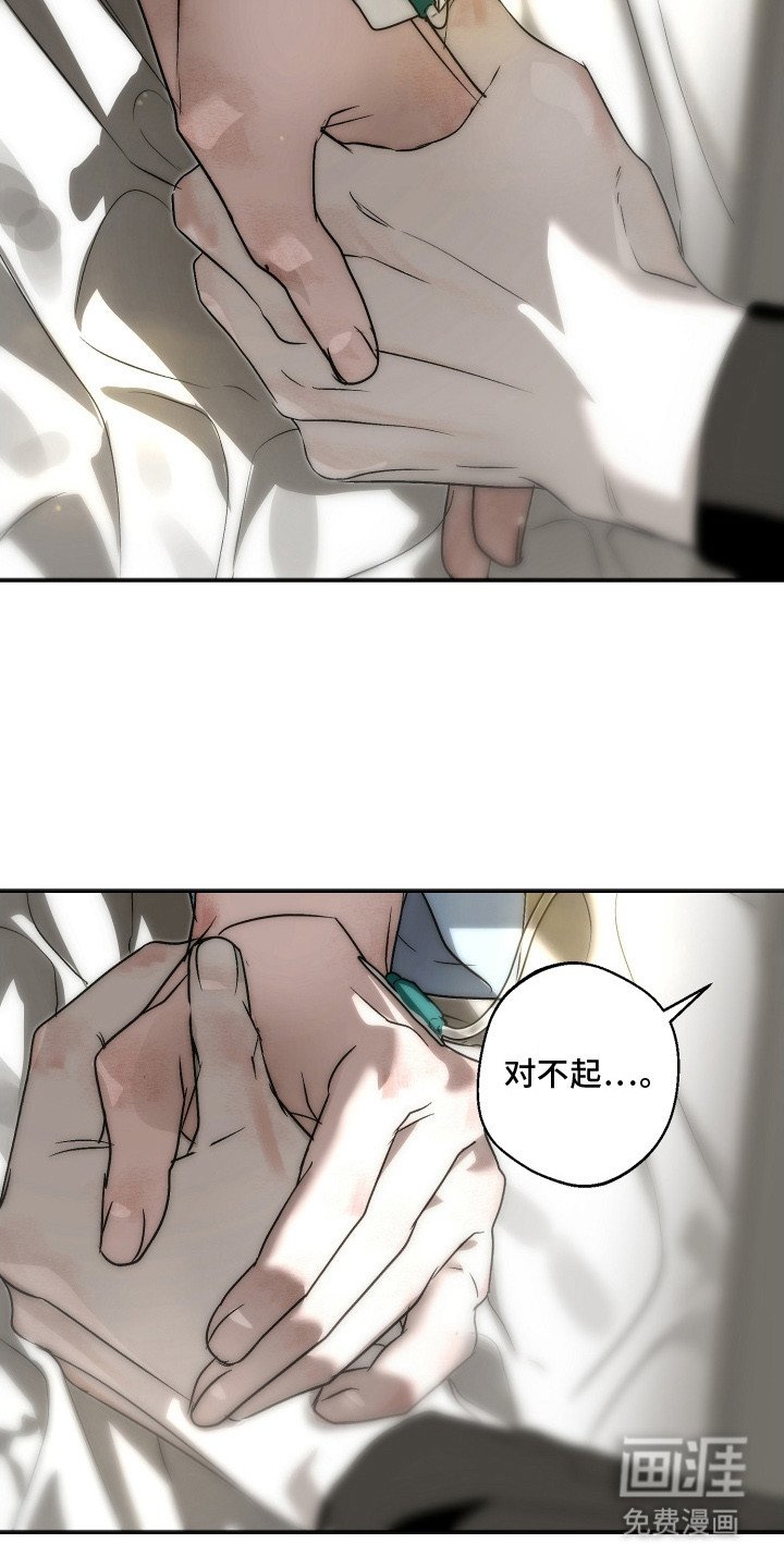 第19章：道歉