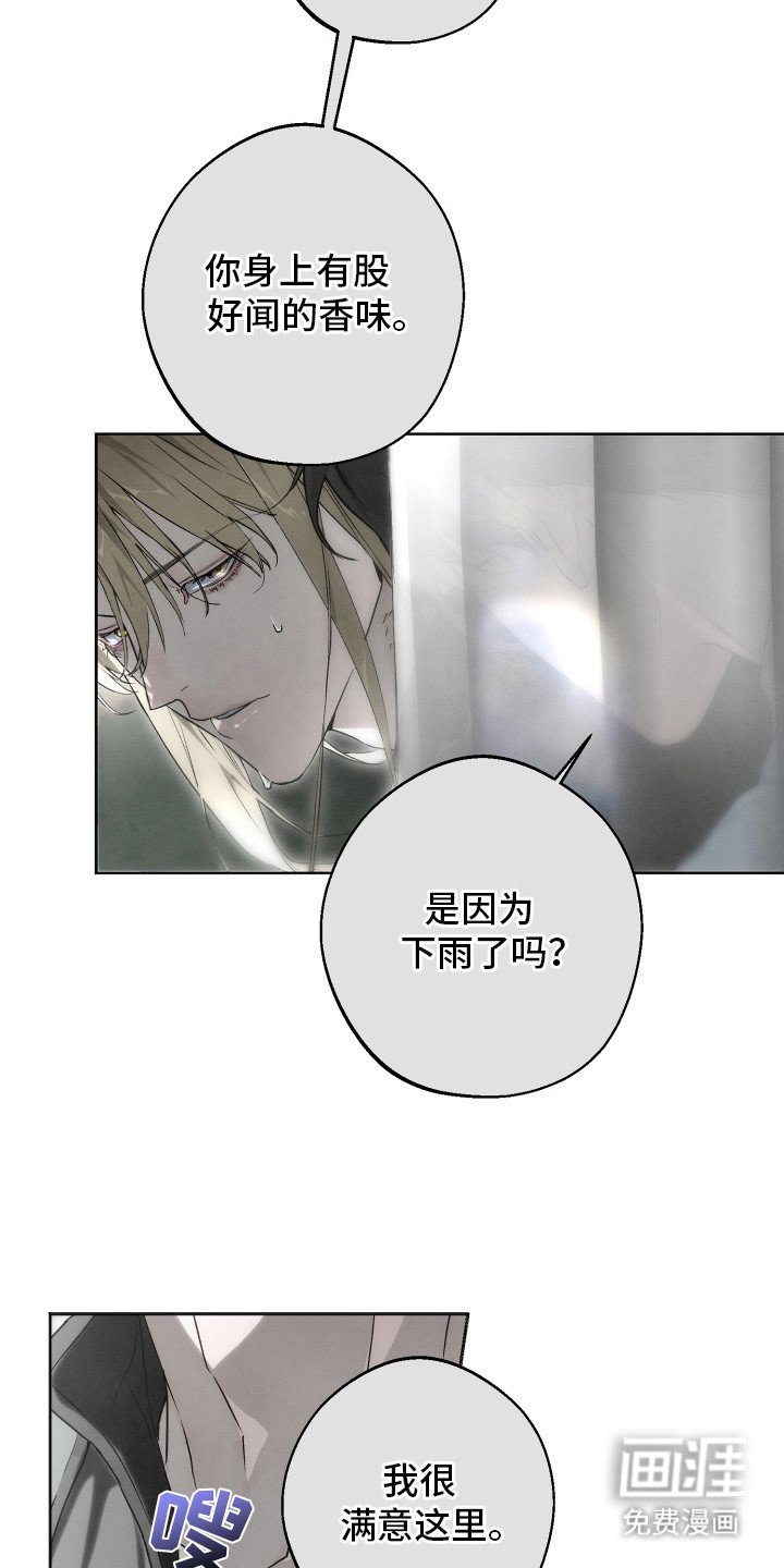 第6章：梦中人