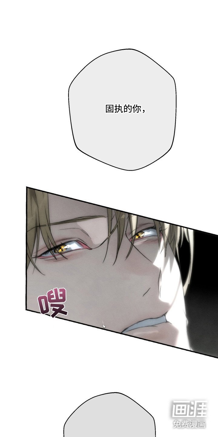 第8章：忘不掉