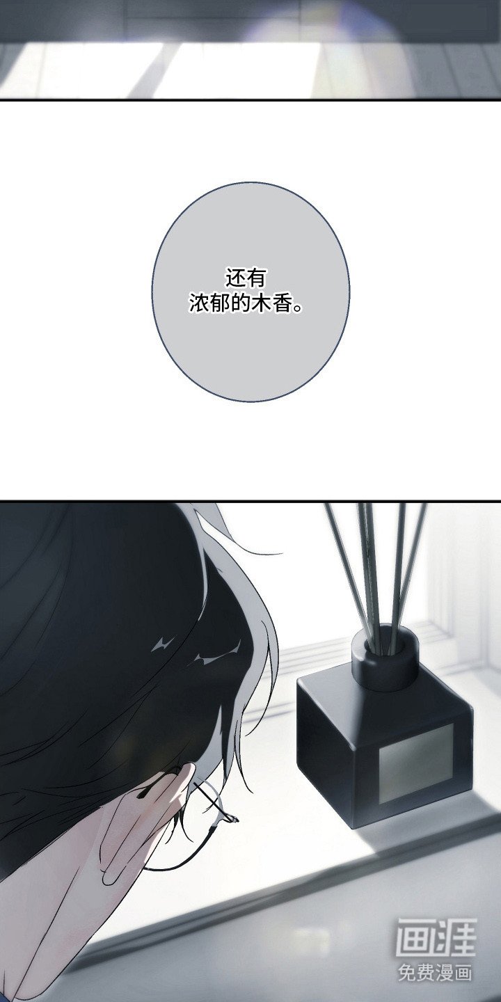 第9章：熟悉的香气