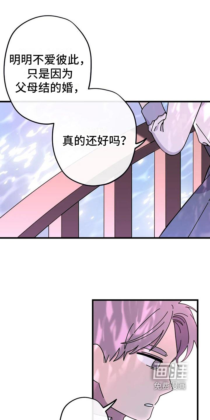 第16章：没有爱情的婚姻