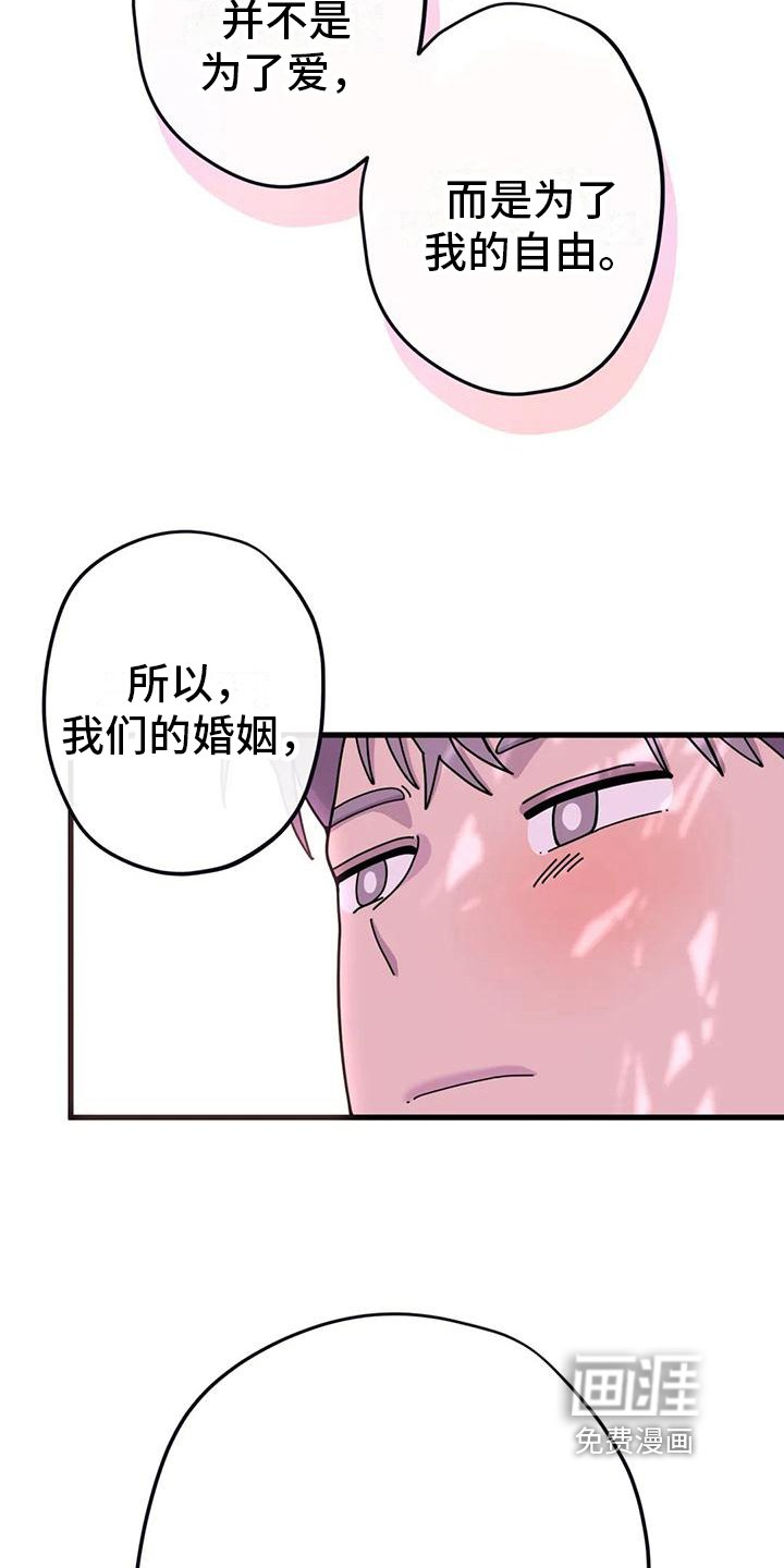 第16章：没有爱情的婚姻