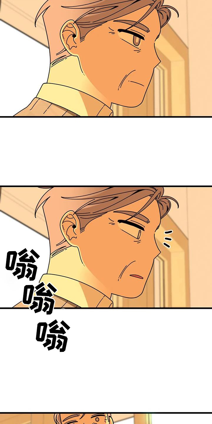 第19章：急电