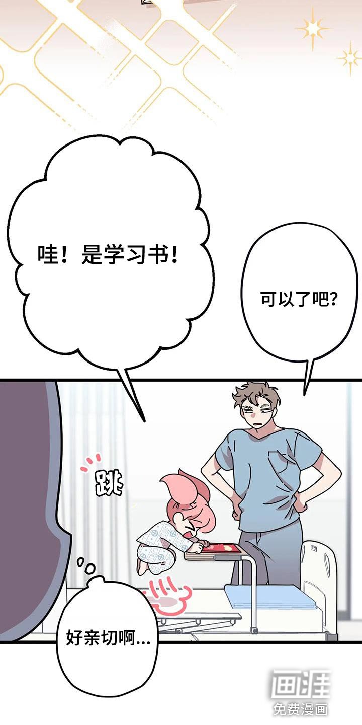 第33章：预习