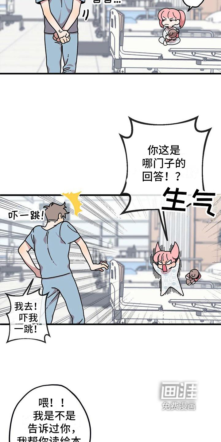 第4章：新的小熊