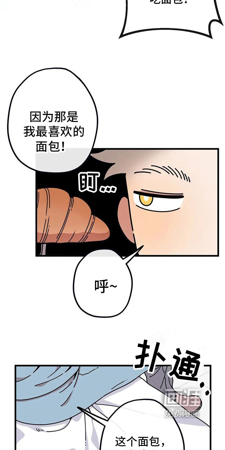 第4章：新的小熊