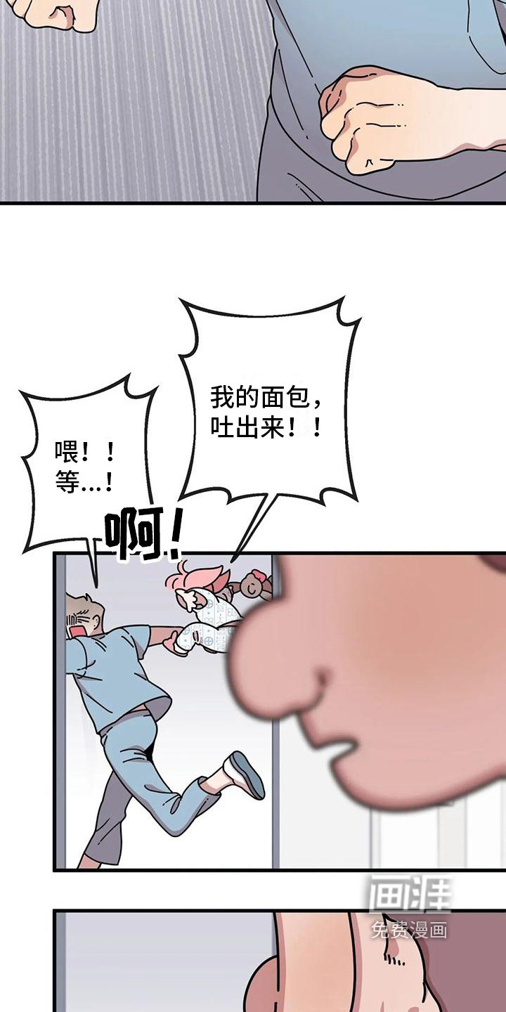第4章：新的小熊