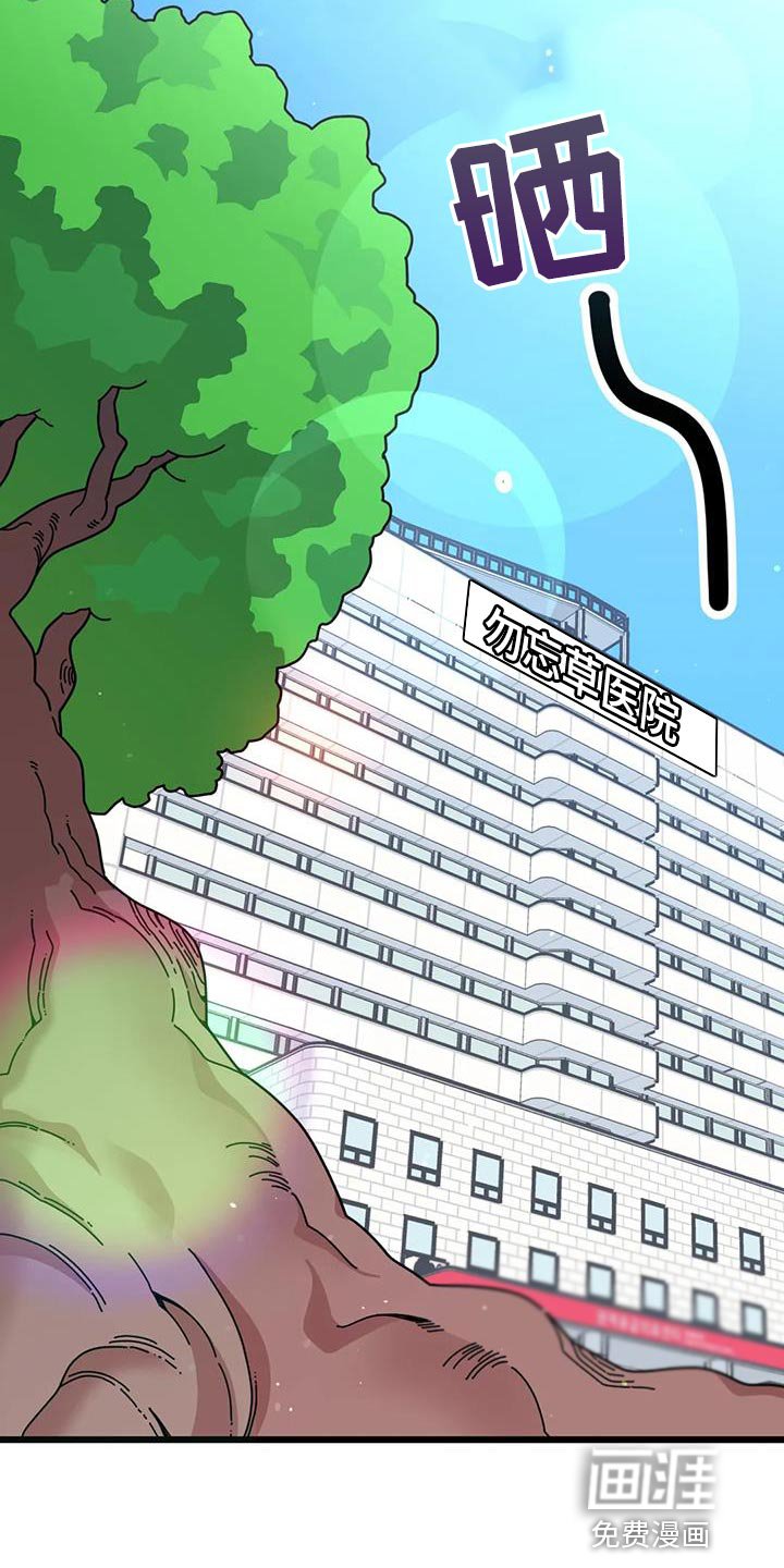 第40章：你可真有人气