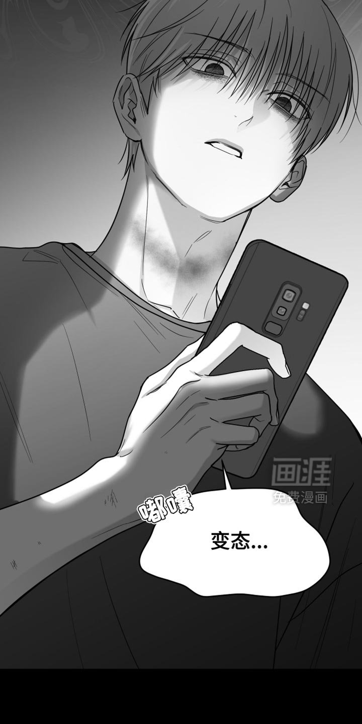 第111章：【第三季】枕头
