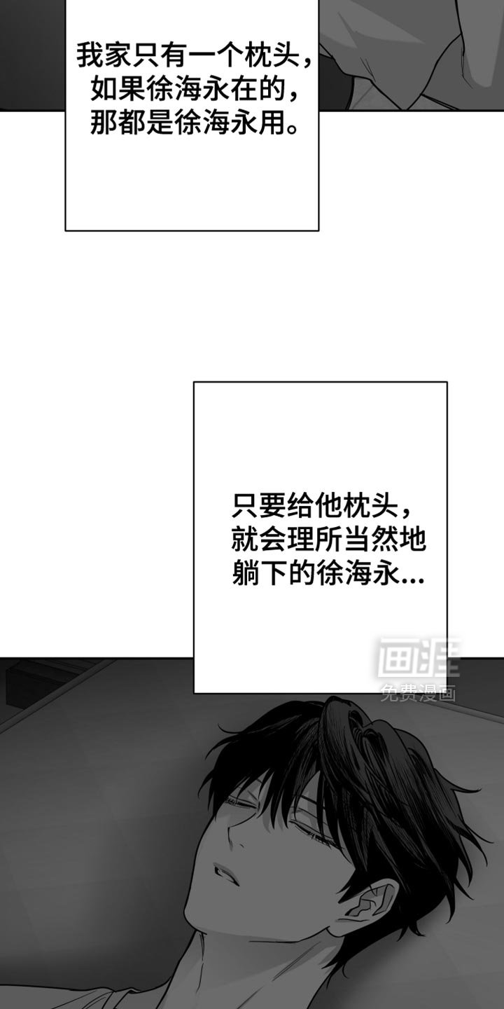 第111章：【第三季】枕头