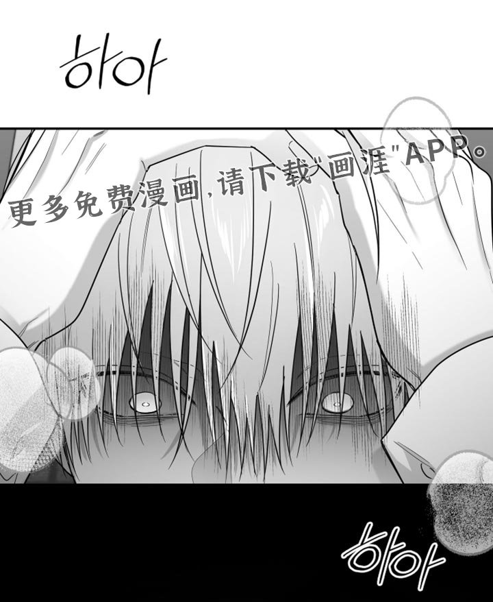第120章：【第三季】快打救护车