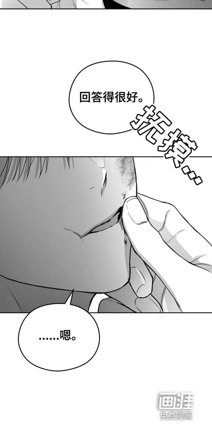 第19章：太可惜了