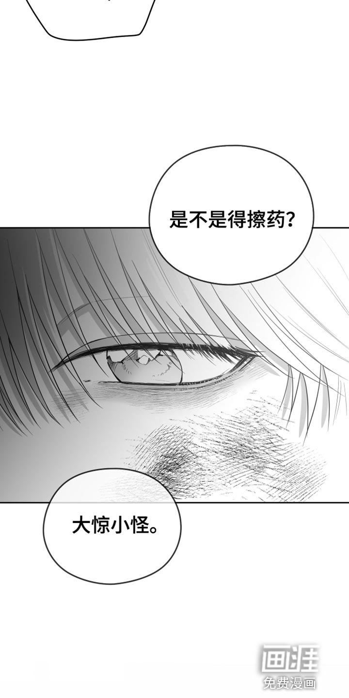 第19章：太可惜了