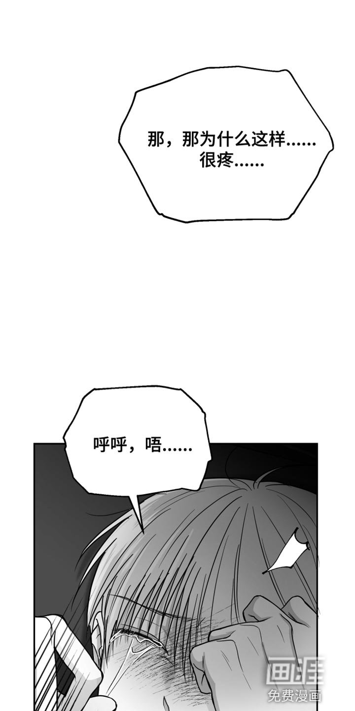 第26章：你喜欢我吧？